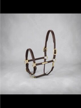 Brown Leather Horse Halter with Gold Hardware